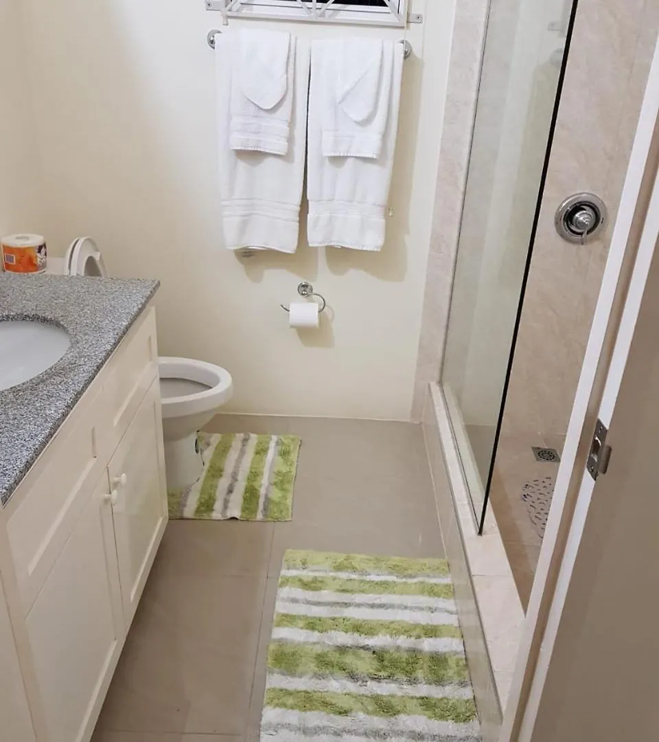 Holiday home Tropical Getaway 2-Bedroom Home With Pool And Tv In St Ann Brissett Run Jamaica